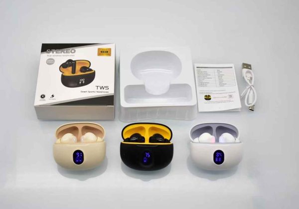 Professional Display Earbuds