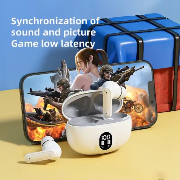 Professional Display Earbuds