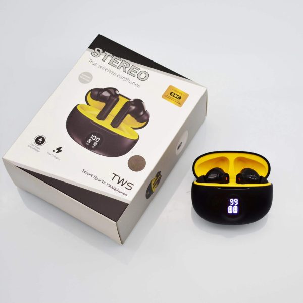Professional Display Earbuds