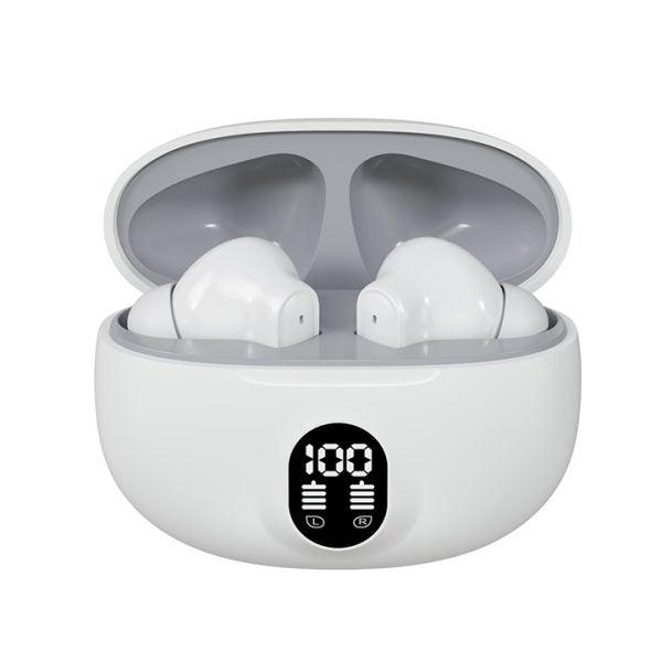 Professional Display Earbuds