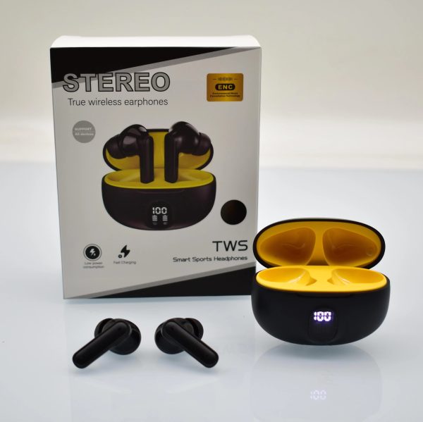 Professional Display Earbuds