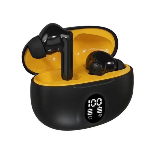 Professional Display Earbuds